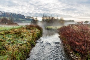 #Fog in the field