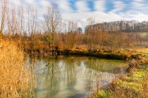 #Pond & sky with long exposure