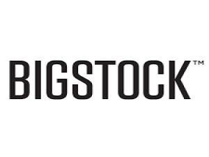 Stockverkoop Bigstock DDMM21 via Paypal